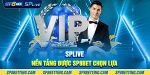 SPLIVE: Nền Tảng Được SP8BET Chọn Lựa